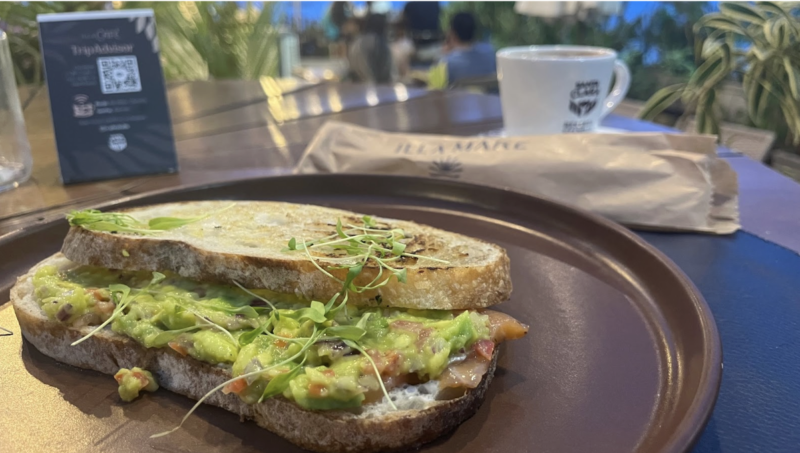 (Pão sourdough com guacamole e salmão curado creme azedo) 