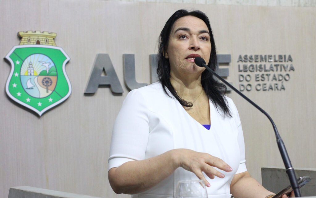 Dra. Silvana sugere atendimento de dores crônicas e fibromialgia nos hospitais regionais 9 Blog do Eliomar