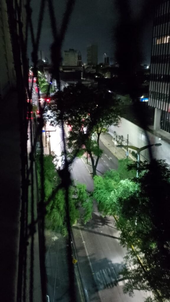 Prossegue clima de caos na Avenida Heráclito Graça por conta da queda de árvore 1 Blog do Eliomar