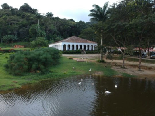 Café e história no Sítio São Luís - Por Mirelle Costa 6 (Foto/drone: Julião Júnior)