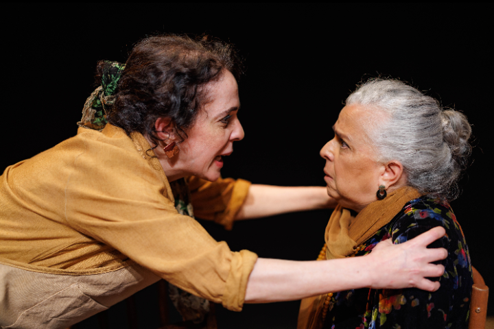 Caixa Cultural apresenta "A menina escorrendo dos olhos da mãe" 1 Blog do Eliomar