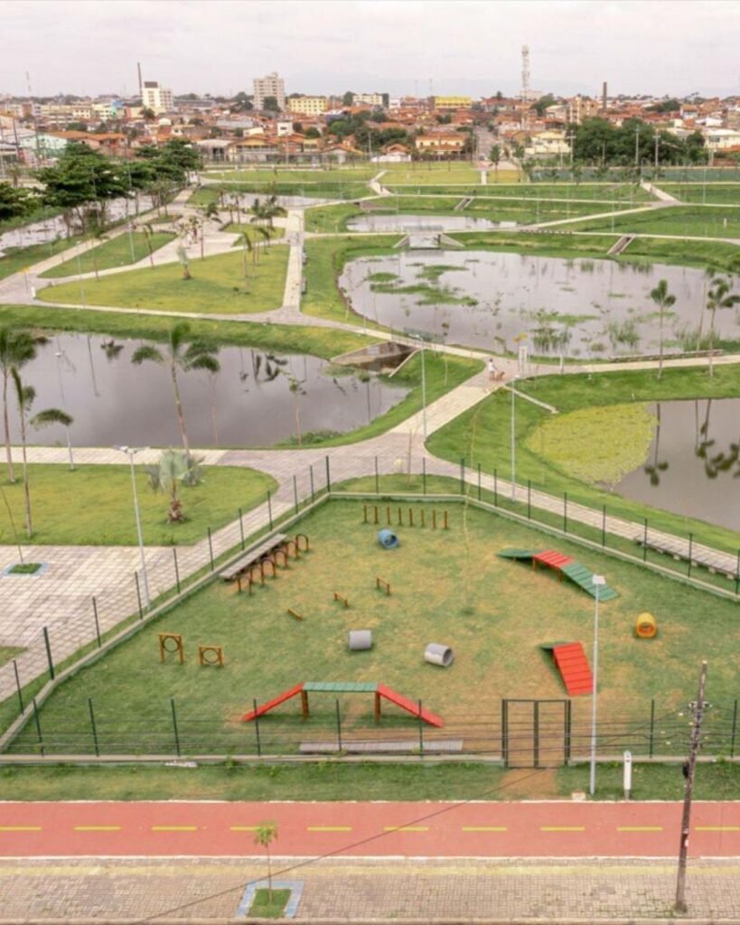 Prefeitura comemora Dia Mundial do Meio Ambiente no Parque Rachel de Queiroz 1 Blog do Eliomar