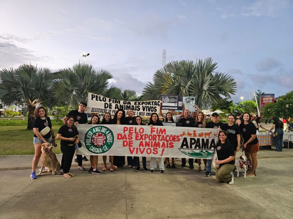 Fortaleza integra-se à mobilização nacional contra a Exportação de Animais Vivos 6 Blog do Eliomar