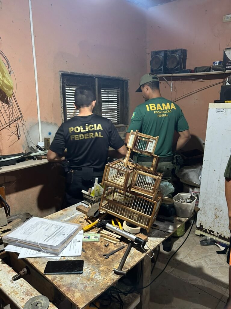 PF do Ceará deflagra Operação Aracê III contra tráfico de animais silvestres 2 Blog do Eliomar