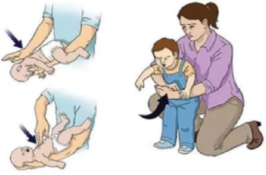 blog do eliomar blog do eliomar,Informação sem preconceito Blog do Eliomar