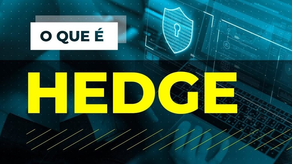 "O que vem a ser Hedge e qual a sua função no mercado financeiro" - Por Fabiano Mapurunga 2 Blog do Eliomar
