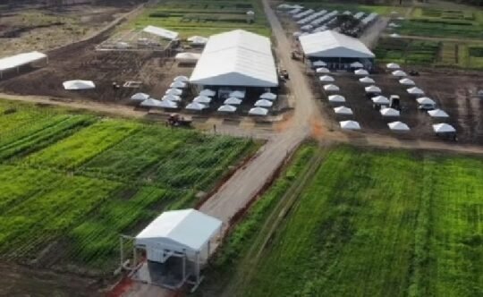 blog do eliomar blog do eliomar,Informação sem preconceito Blog do Eliomar