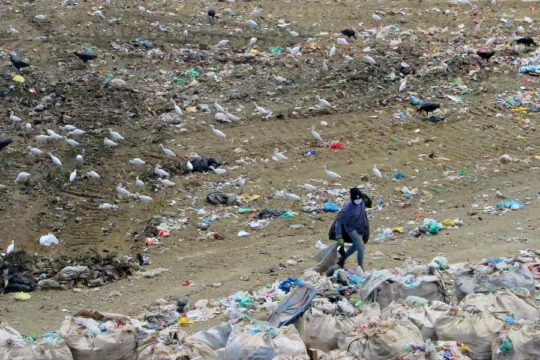 blog do eliomar blog do eliomar,Informação sem preconceito Blog do Eliomar