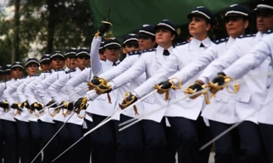 blog do eliomar blog do eliomar,Informação sem preconceito Blog do Eliomar