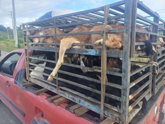 blog do eliomar blog do eliomar,Informação sem preconceito Blog do Eliomar