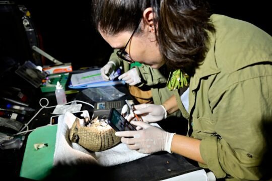 blog do eliomar blog do eliomar,Informação sem preconceito Blog do Eliomar